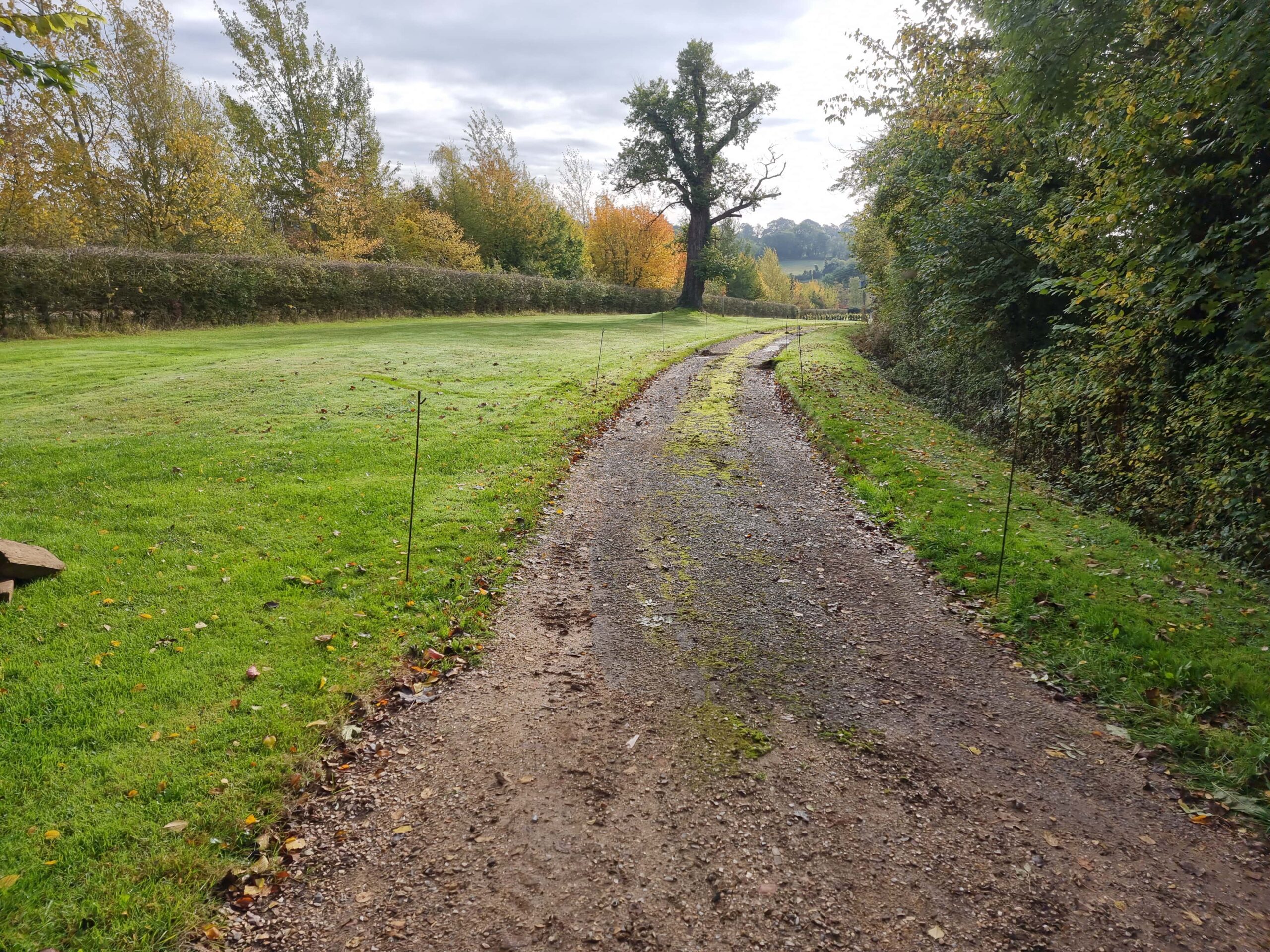 this is a photo of a tar and chip driveway being constructed